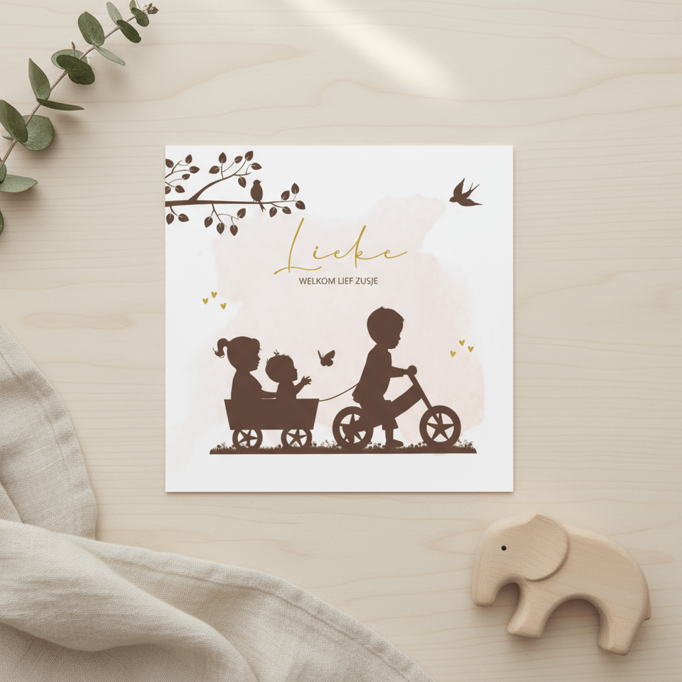 Geboortekaartje fietsje met kar en broer zus en baby meisje