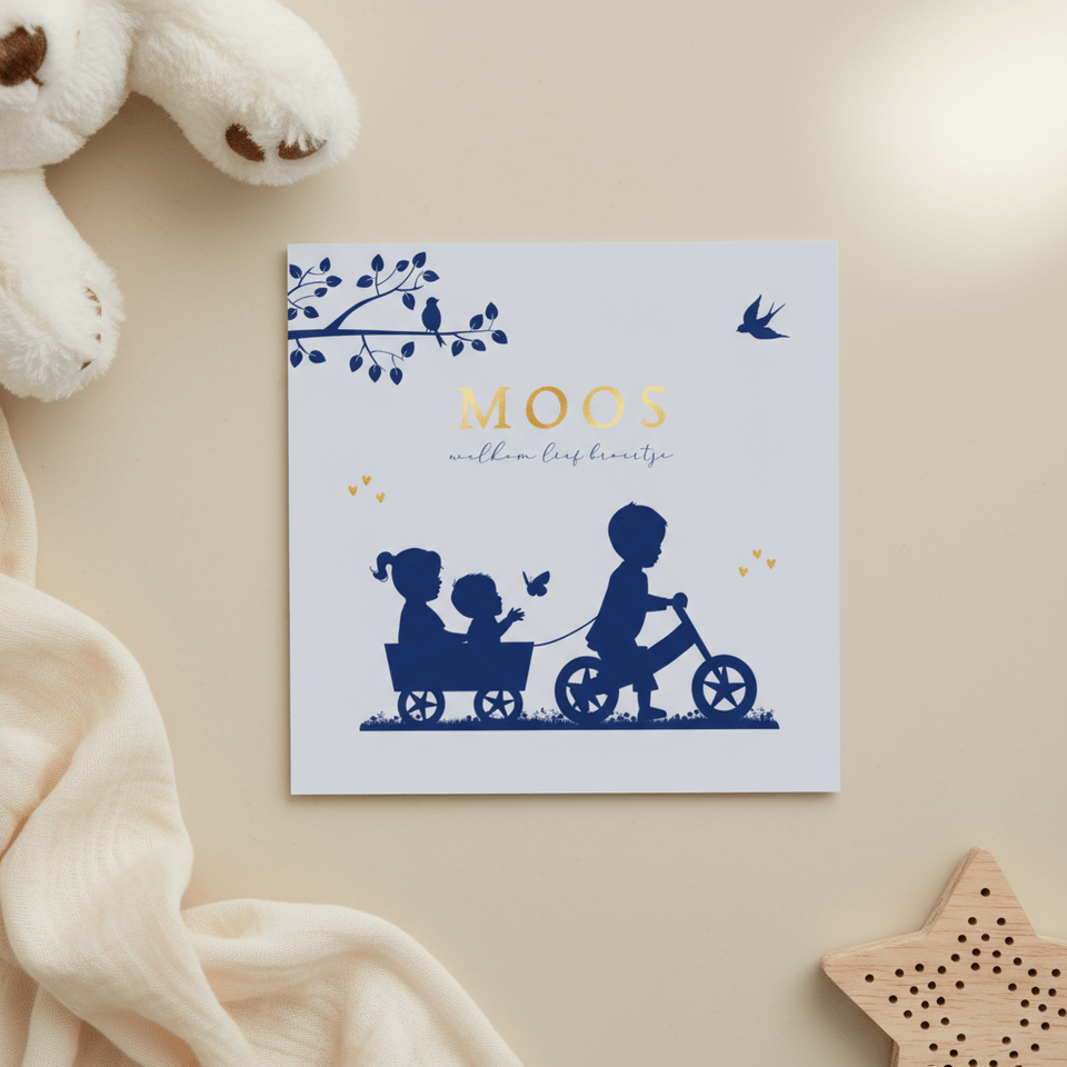 Geboortekaartje fietsje met kar en broertje zusje en baby 