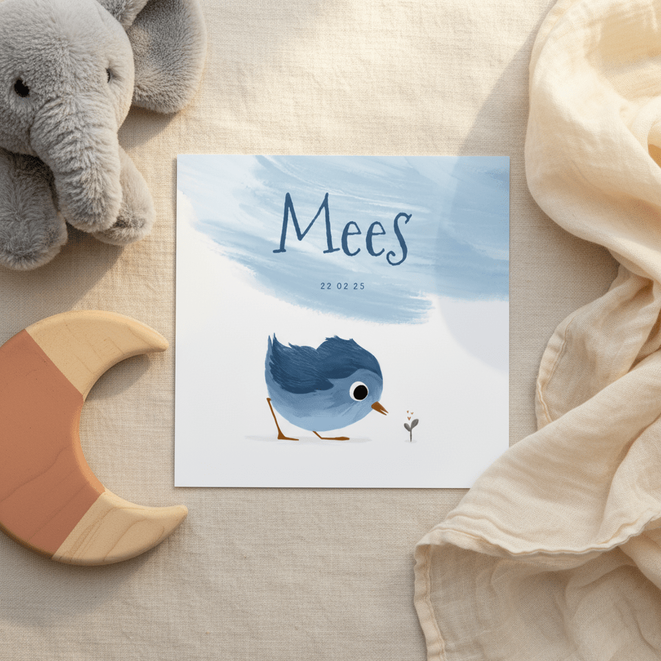 Geboortekaartje met lief vogeltje en verfstreep