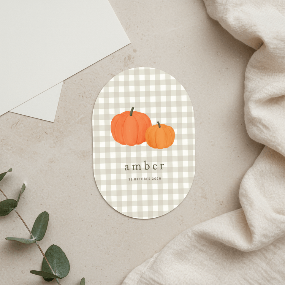 Geboortekaartje ruitjes pompoen herfst ovaal