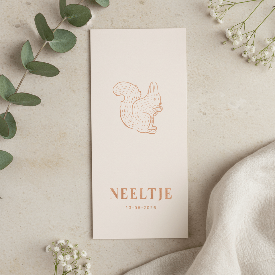 Lief beige geboortekaartje met eekhoorntje 