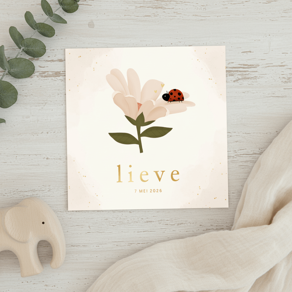 Lief geboortekaartje met een bloem en lieveheersbeestje