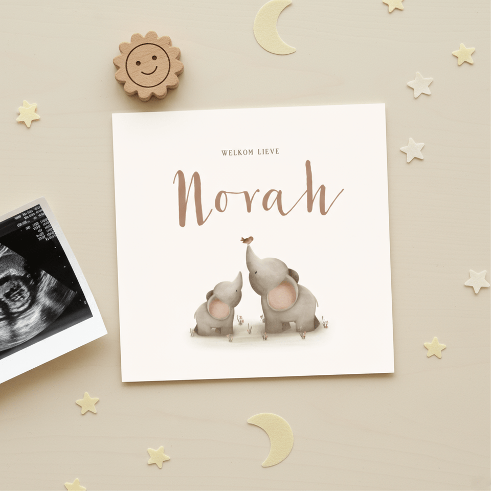 Lief geboortekaartje voor een meisje met twee olifantjes