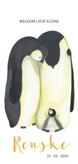 Geboortekaart pinguïn illustratie