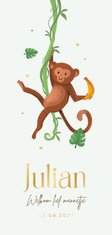 Geboortekaartje aap jungle dieren goud hartjes groen