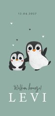 Geboortekaartje broertje zusje pinguïns hartjes lief