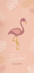 Geboortekaartje flamingo en bladeren