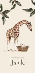 Geboortekaartje giraf bij een babymandje en groene bladeren