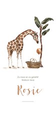 Geboortekaartje giraf met baby mand en ballon