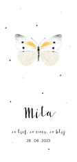 Geboortekaartje illustratie witte vlinder en stipjes