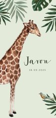 Jungle geboortekaartje met giraf en groene achtergrond