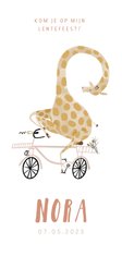 Lentefeest uitnodiging hip met giraf op roze fiets 