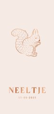 Lief beige geboortekaartje met eekhoorntje 