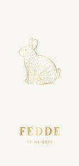 Lief geboortekaartje met konijn geel en goud