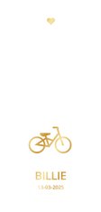 Modern geboortekaartje met gouden fietsje