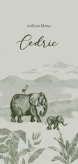 Olijfgroen jungle geboortekaartje met getekende olifanten