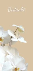 Rouwkaart bedankt hemels witte orchidee