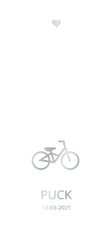 Strak geboortekaartje met fietsje in zilver