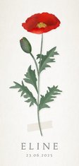 Vintage botanisch geboortekaartje met klaproos illustratie