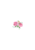 Bedankkaart roze pioenrozen en eucalyptus takjes Achterkant