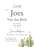 Lief geboortekaartje illustratie gans watercolor streep Achterkant