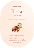 Lief roze ovaal geboortekaartje met een schildpadje Achterkant