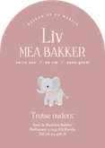 Schattig roze geboortekaartje boog met olifantje meisje Achterkant