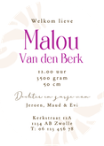 Trendy geboortekaartje modern initiaal strepenpatroon paars Achterkant
