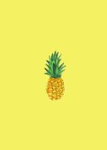 50 jaar tuinfeest Ananas 2