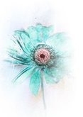 Bedankkaart high hue gerbera 2