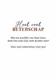 Beterschapskaart kind beer dikke knuffel  3