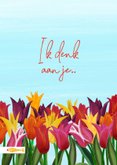 Beterschapskaart met tulpen (zonder tekst) 2