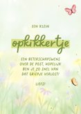 Beterschapskaart opkikkertje met bloem en vlinders 3