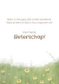 Beterschapskaart voor kind met rode panda 3