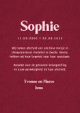 Bidprent herinneringskaart foto hortensia bloemen rood roze 3