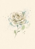 Condoleance kaart met witte aquarel roos 2