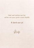 Condoleancekaart bij het verlies van een paard of pony 3
