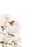 Condoleancekaart magnoliatak met vogeltje 2