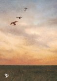 Condoleancekaart met vliegende eenden in de avondzon 2