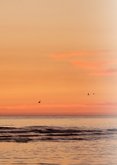 Condoleancekaart strand zonsondergang gecondoleerd 2