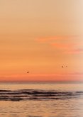 Condoleancekaart strand zonsondergang gecondoleerd 2