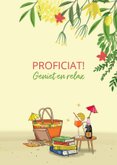 Feliciatiekaart pensioen vrouw in strandstoel 3