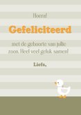 Felicitatie geboorte jongen met olifant en eendje 3