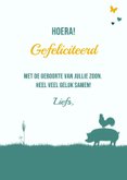 Felicitatie jongetje met schep en dieren 3