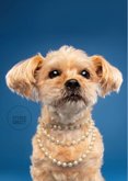 Felicitatiekaart 30 jaar getrouwd van hond met parelketting  2