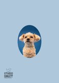 Felicitatiekaart 30 jaar getrouwd van hond met parelketting  2