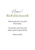 Felicitatiekaart baby eend ballonnen 3