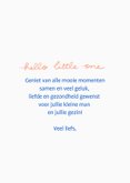 Felicitatiekaart beer met klein beertje hello little one 3