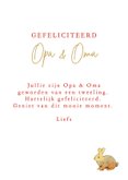 Felicitatiekaart geboorte tweeling opa en oma kaboutertjes 3