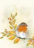 Felicitatiekaart herfstimpressie met roodborst 2